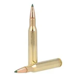 RIFLE AMMO